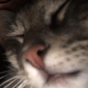 Meet your Posher, Marzzz